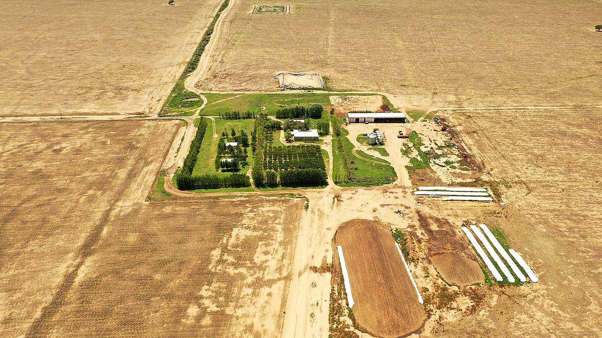 Jarilla, Capital, San Luis, Argentina