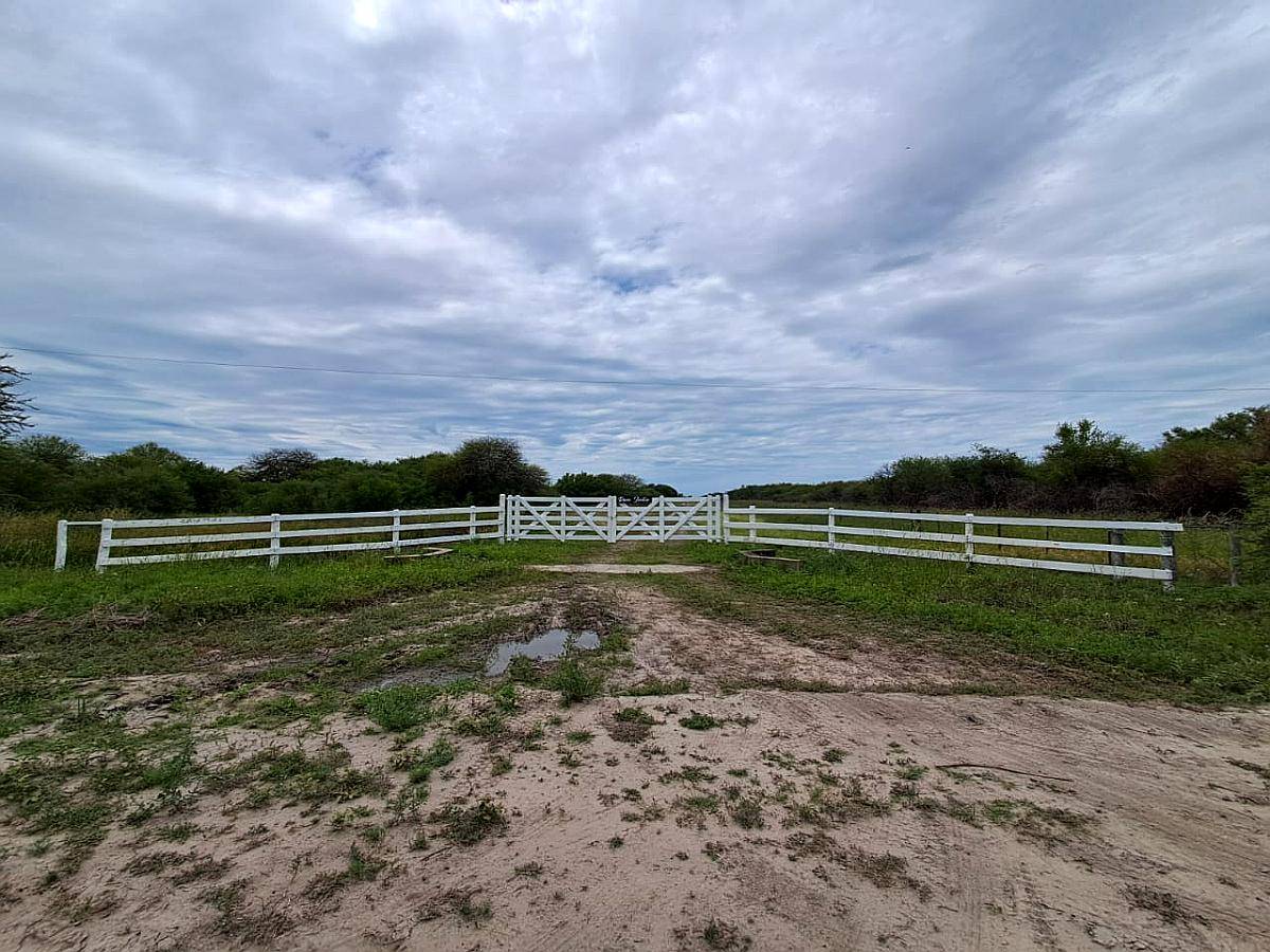 600 Has Ganaderas en Vera para Aprovechar