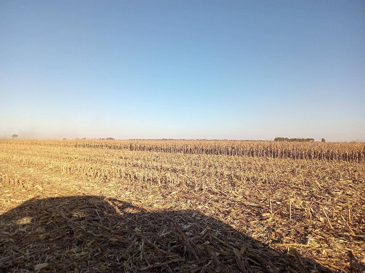 450 Ha en Venta Norte de Córdoba