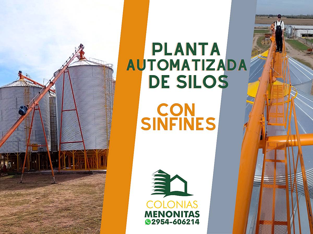 Planta Automática de Silos con Sinfines-colonias Menonitas
