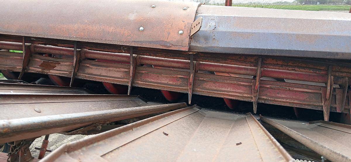 Girasolero Mainero 12 A52cm