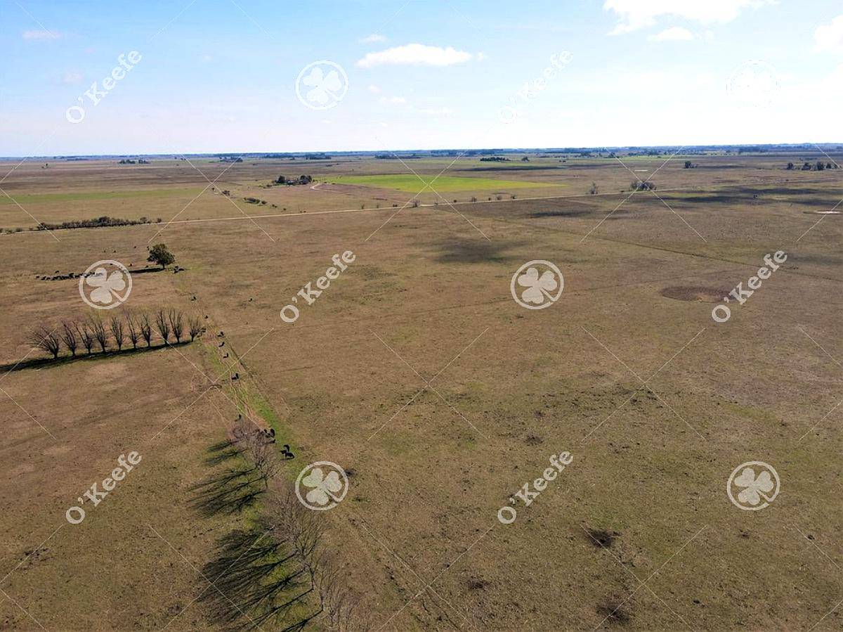 Campo en Venta de 288 Has en Magdalena