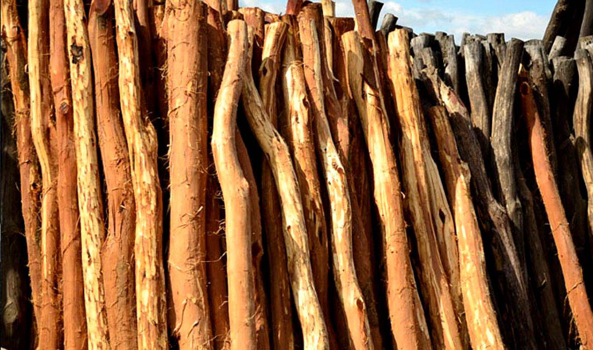 Postes de Itín Linjeado Agroads