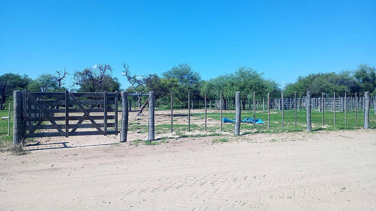 Vendo Campos Ganadero Sobre Ruta
