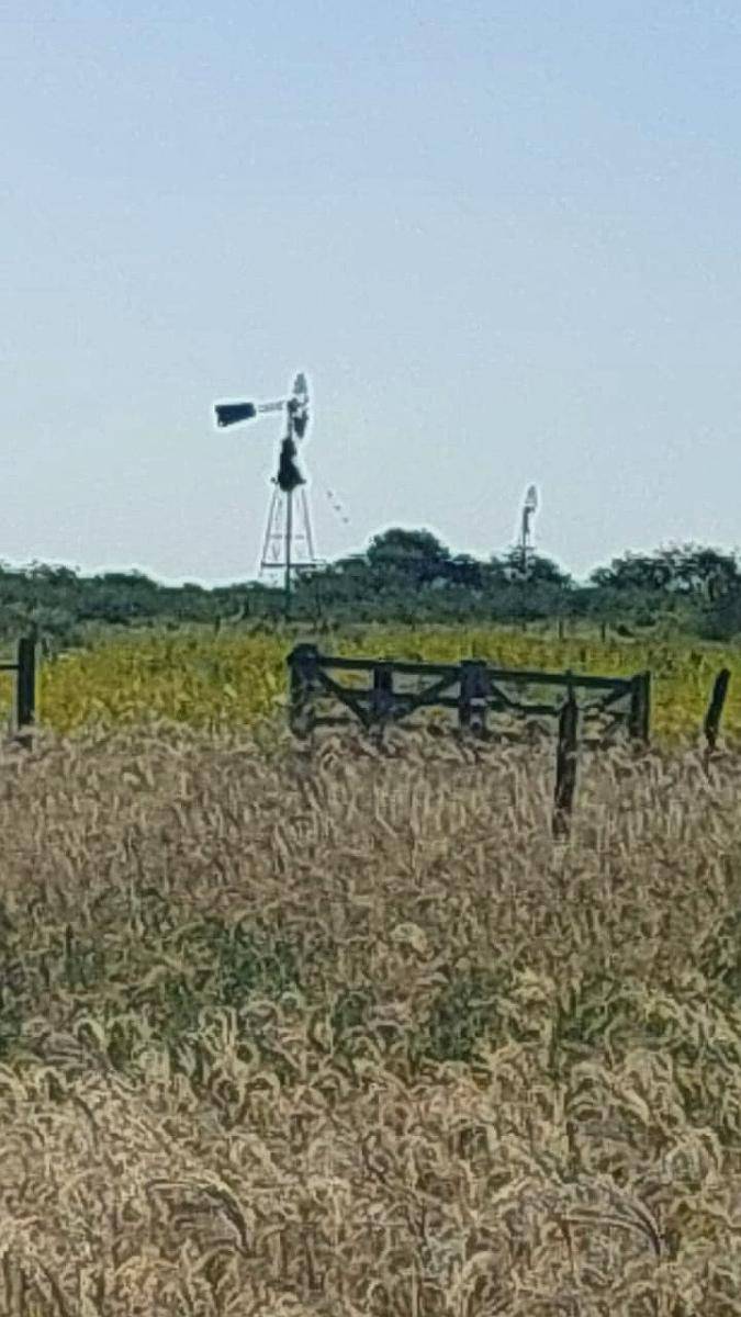 Vendo 3800 Has. Mixtas en el Norte de Santa FE.