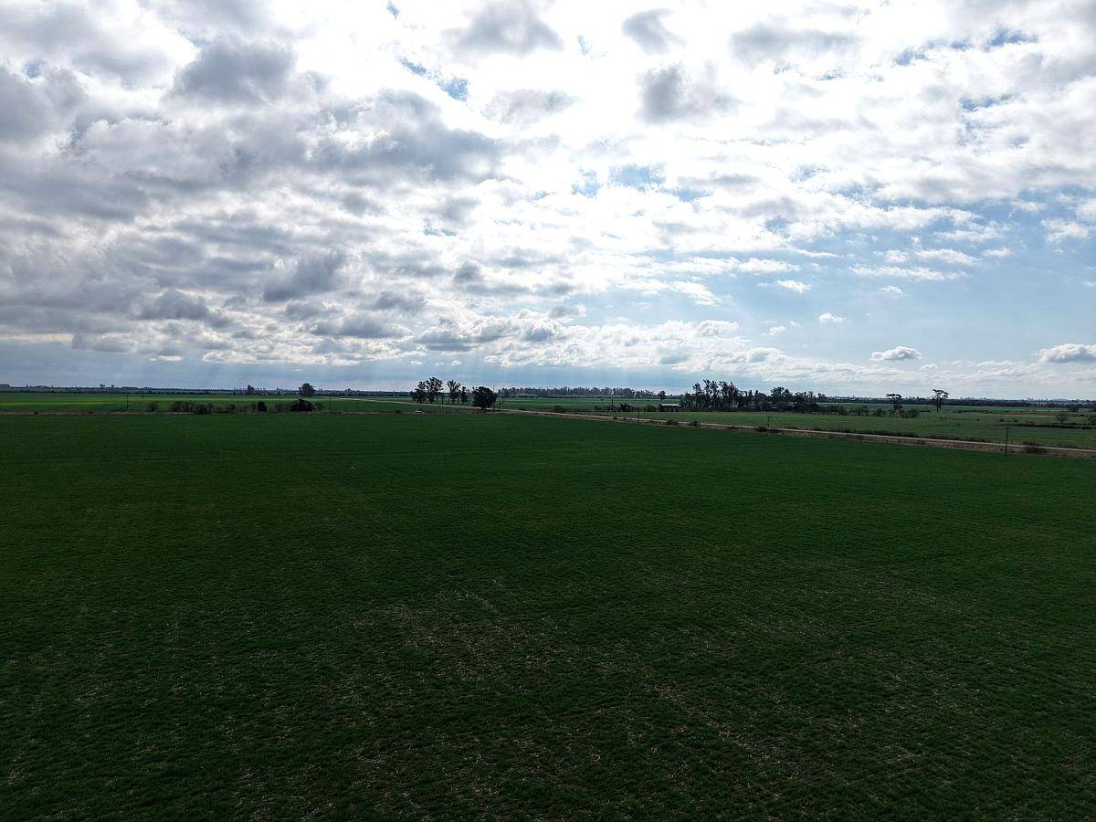 83 Has - Agricolas Sobre Asfalto en Saguier (santa FE)