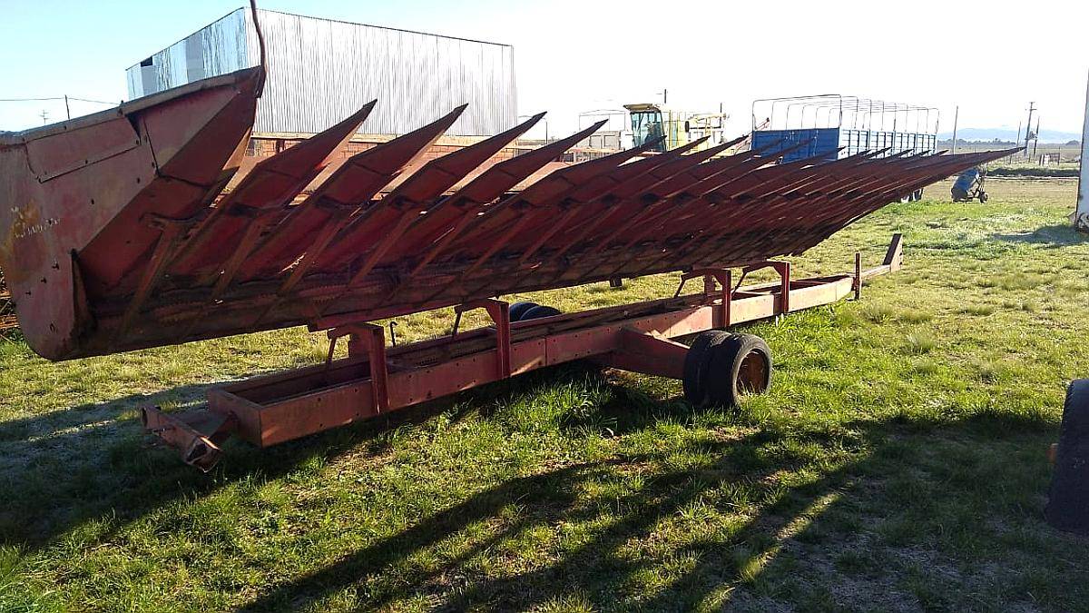 Girasolero Mainero 1035 10/70