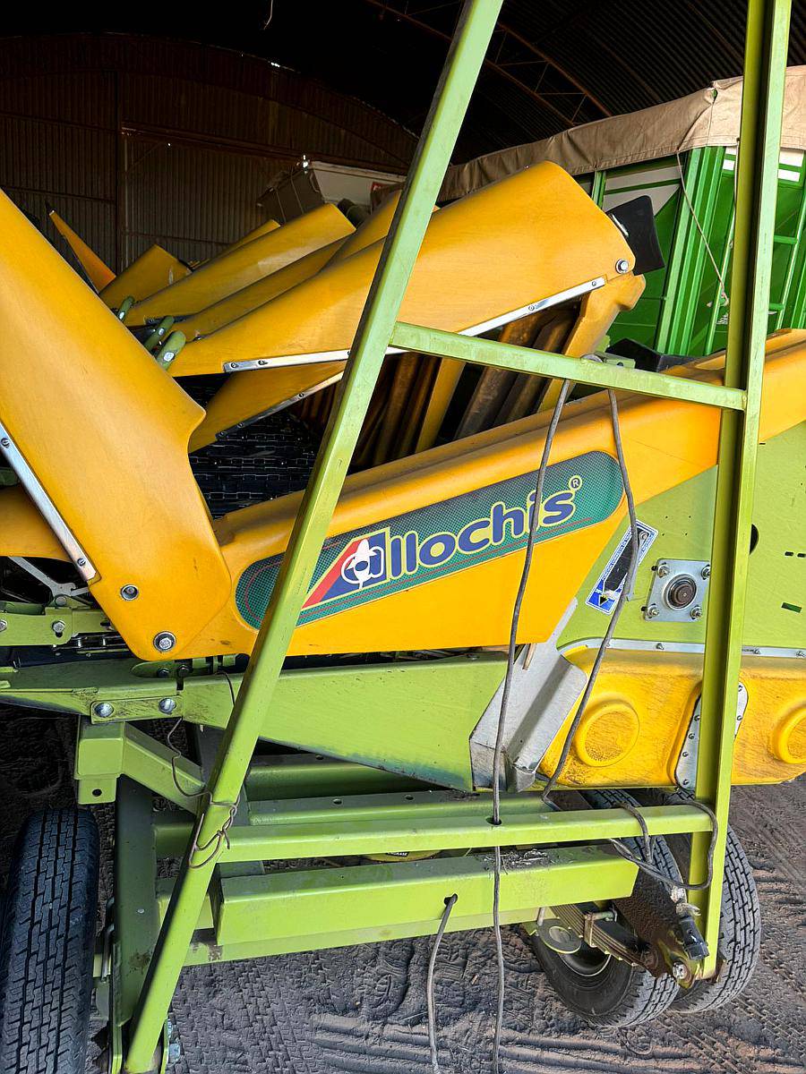 Maicero Allochis de 12 a 52