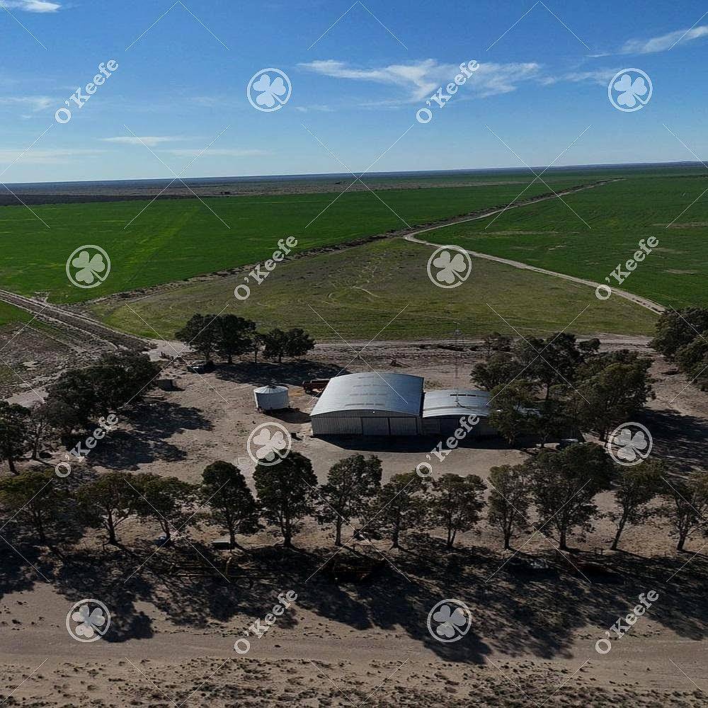 Campo en Venta 10000 Has en Patagones. Mixto
