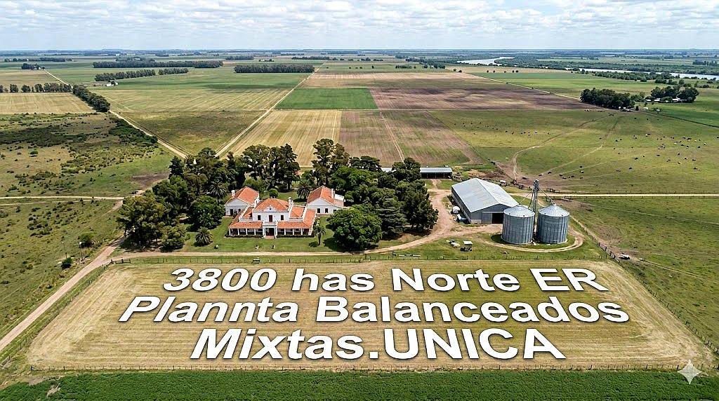 2900 Has - Ruta 127 Federal SUR - Venta