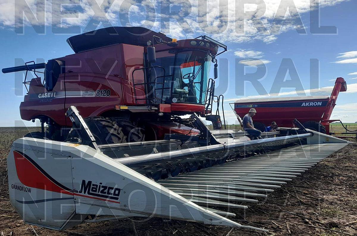 Girasolero Maizco 21/52, 2024. 230. Embocador Case