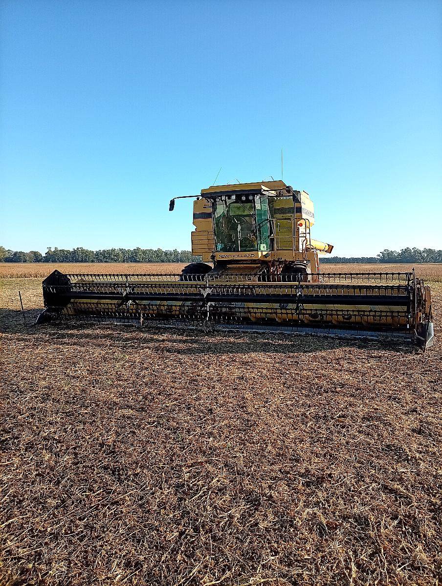 Vendo NH TR 97 año 95 30 Pies.