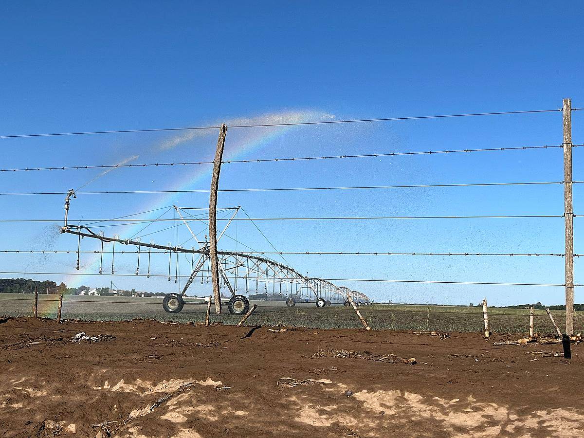 Riego Zanello Electronica Albarracin