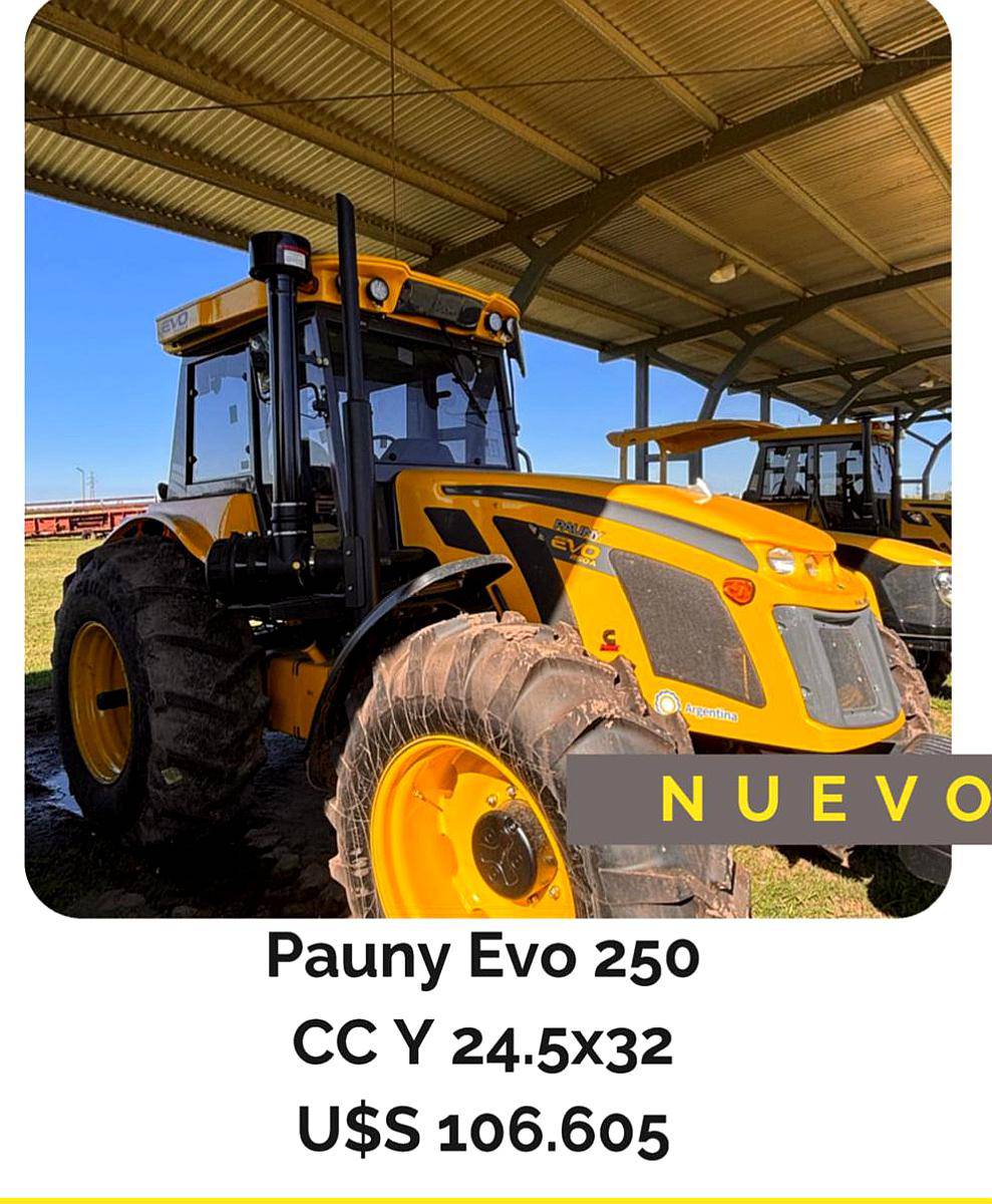 Pauny EVO 250 CC y 24.5x32