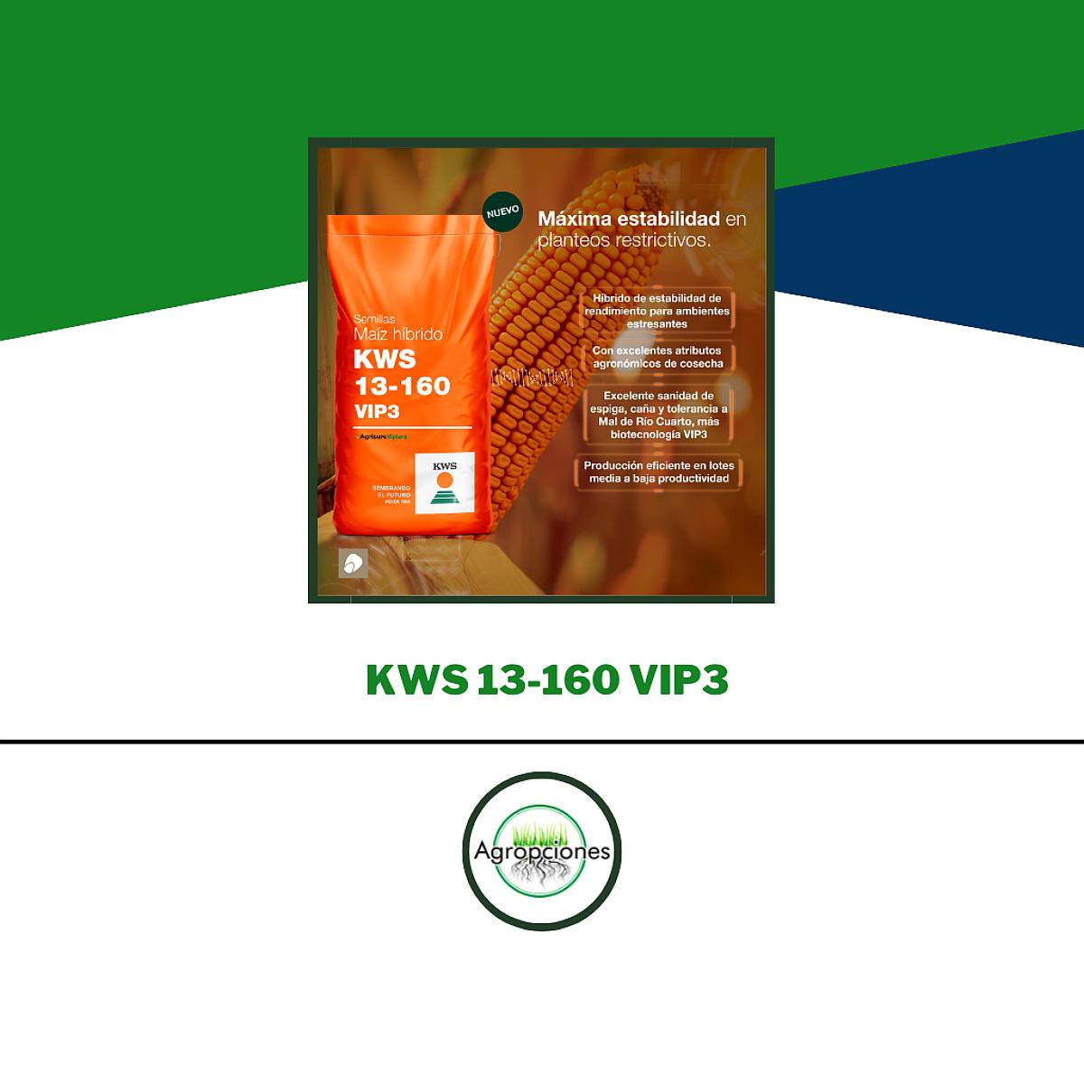 Semilla de Maiz KWS 13-160 VIP3 - Supra Semillas