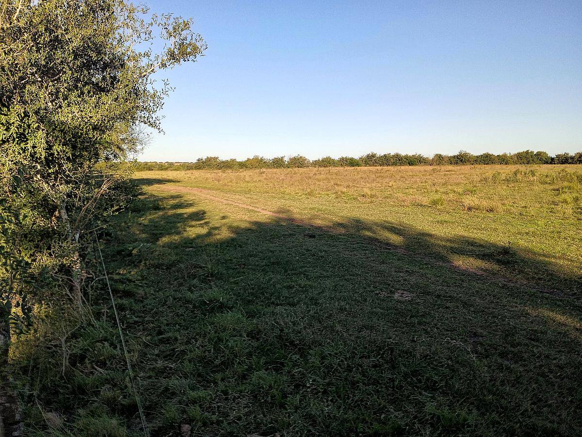 Campo 40 Hectáreas , Paraná ER