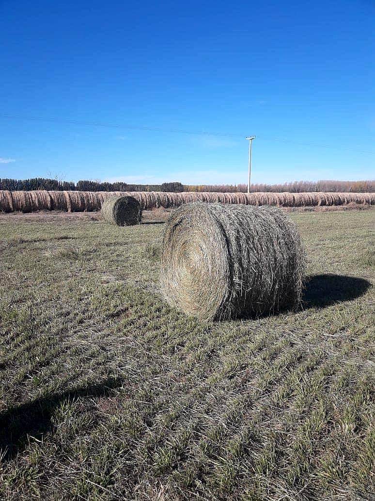 Vendo Campo Bajo Riego PTO X Hacienda