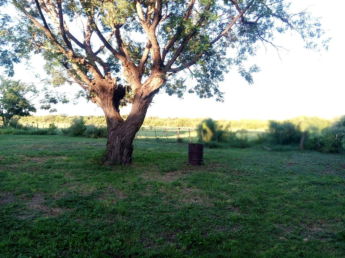 Campo Ganadero Excelente Ubicación.