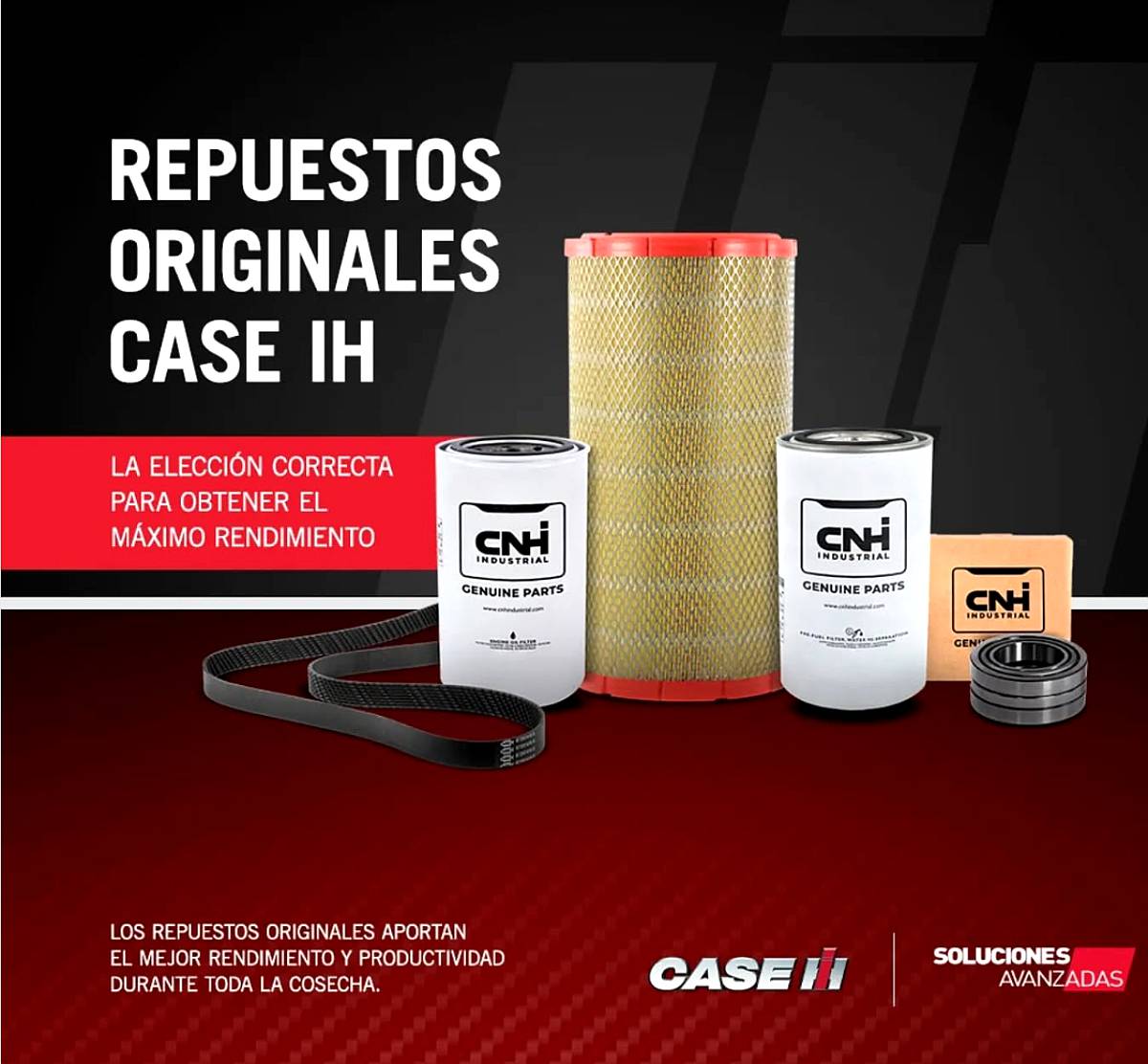 Repuestos Originales Case IH