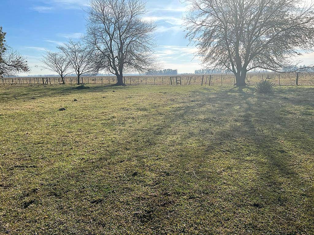 Campo 115 Ha Agricolas Venta Saladillo