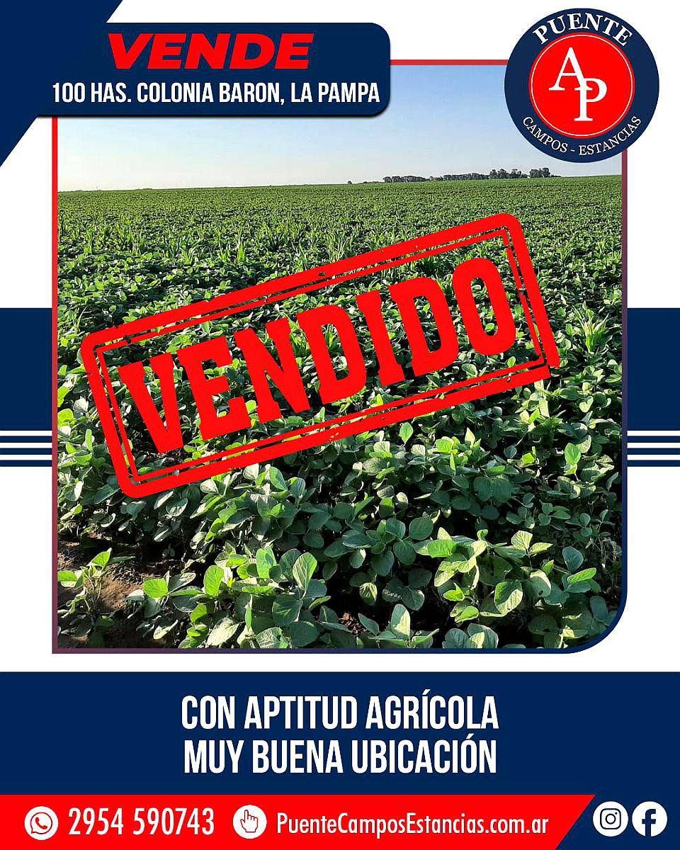 En Venta 100 Has. Colonia Barón, la Pampa