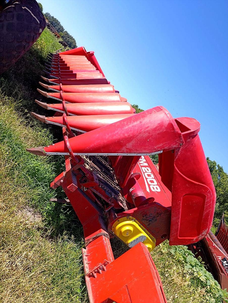 Maicero Ombu de 14 a 52 cm