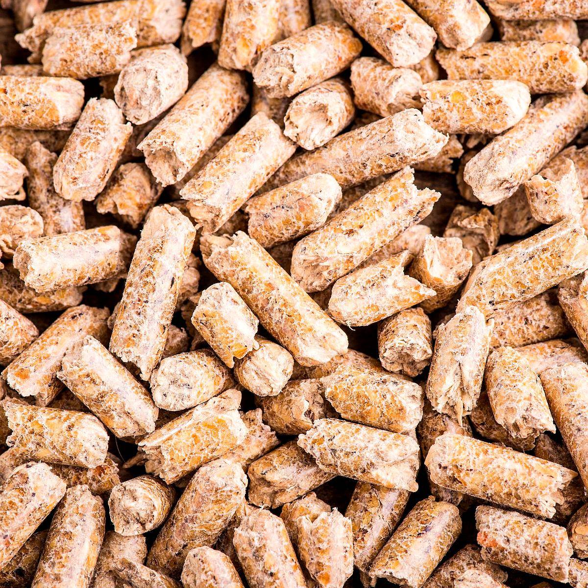 Pellet de Cáscara de Soja - Lasna Insumos - MÍN 28 TN