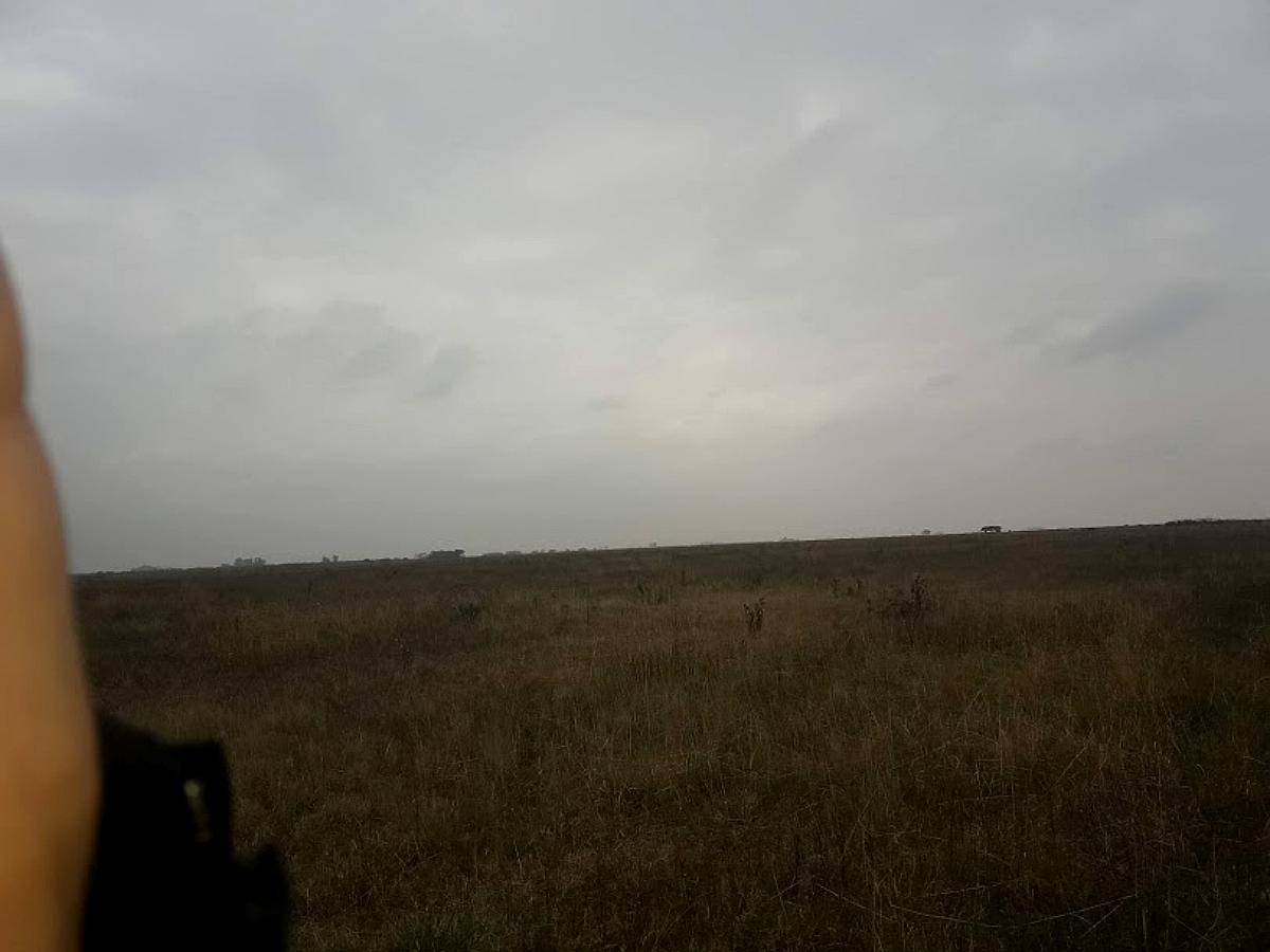 Campo Ganadero Proximo Chilibroste