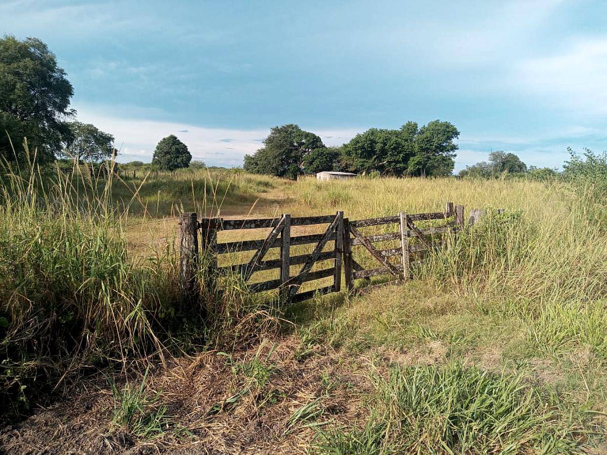Formosa -900 Has. - Oportunidad -