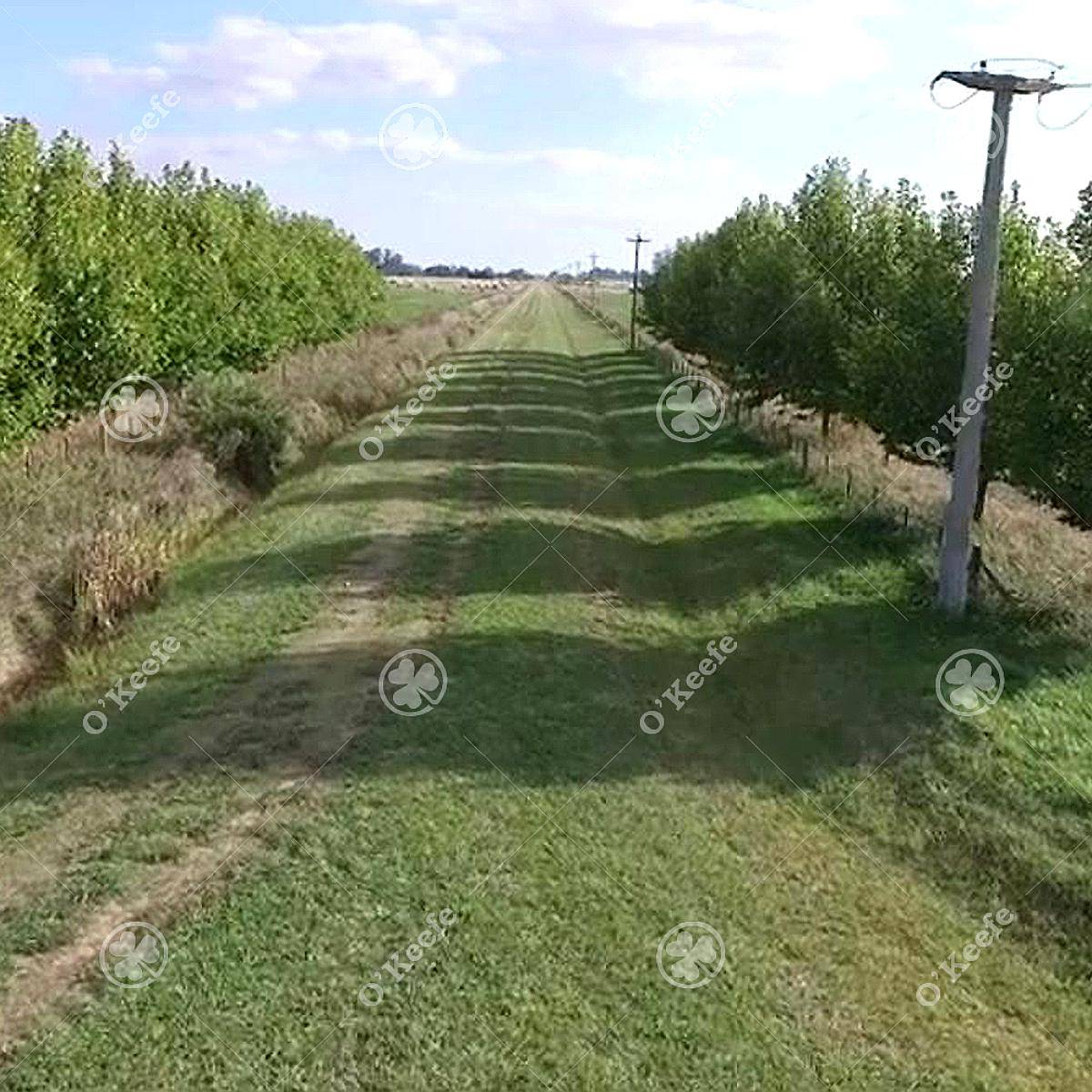 21 Has en Venta en Lobos - Ideal Urbanización Sobre Ruta