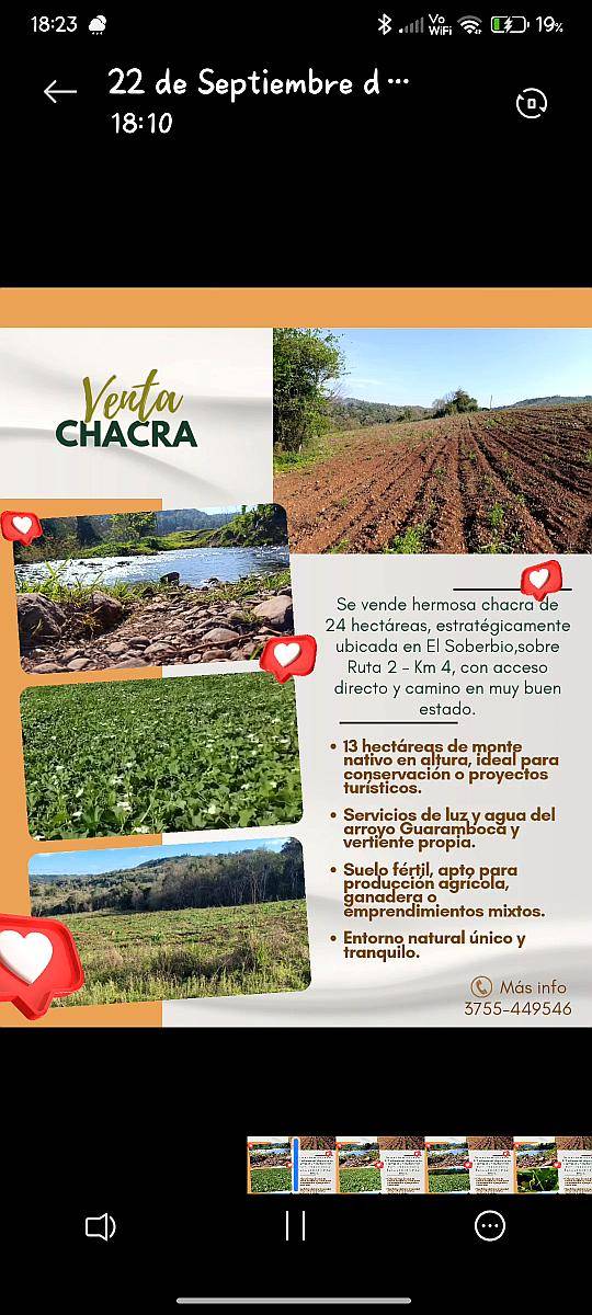 Oferta Chacra con Monte Nativo