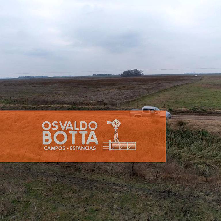 Campo Agrícola Ganadero en Venta, Bolivar, Buenos Aires