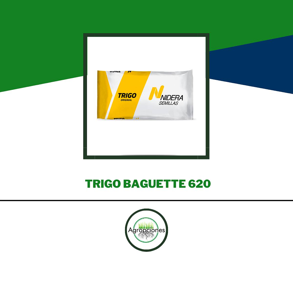 Semilla de Trigo Baguette 620 - Nidera