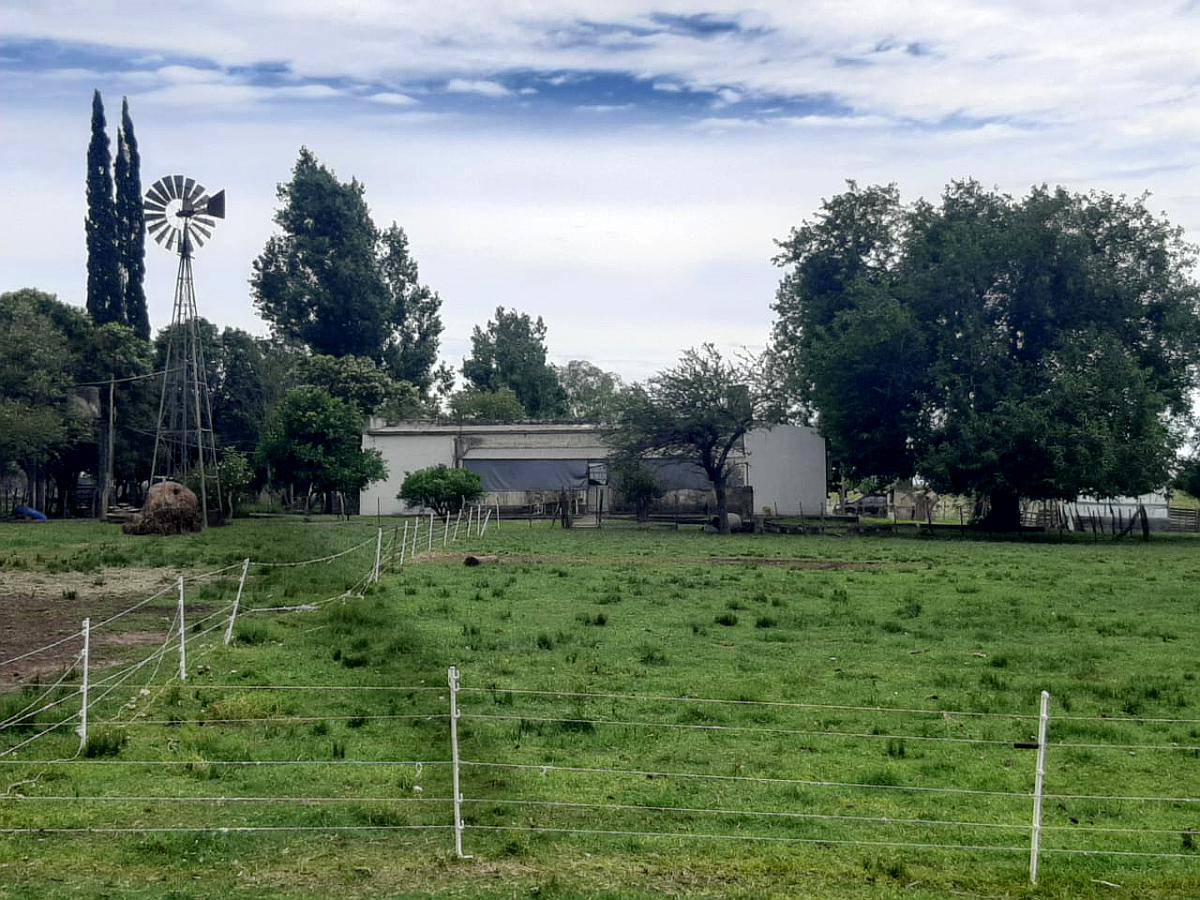 80 Ha Agricolas / Ganaderas a Pocos Metros Autovia 14