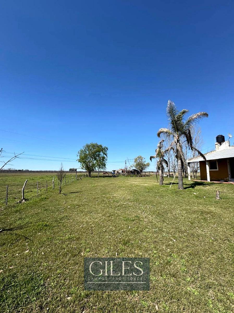 Campo Mixto de 50 Hectáreas