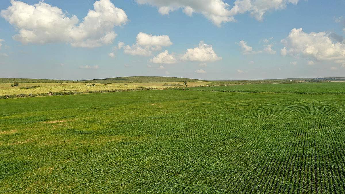 San Pedro Norte, Córdoba - 3068 Ha