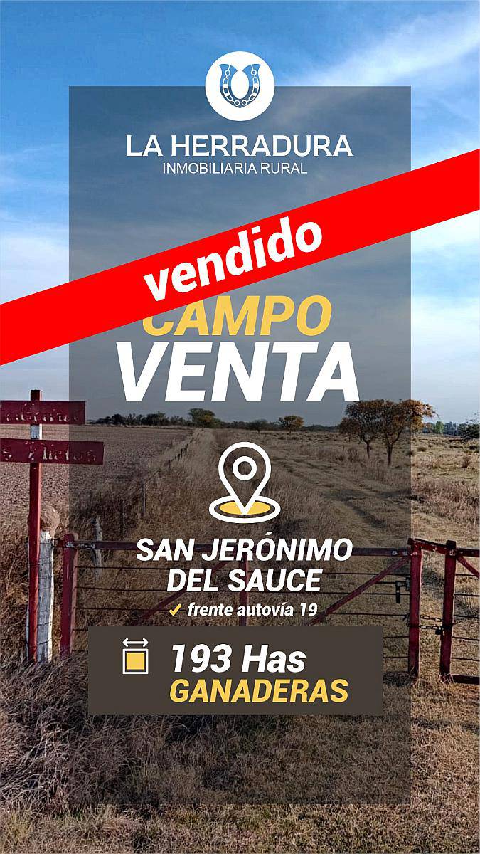 San Jerónimo del Sauce 193 Has, Autovía 19. Campo en Venta.