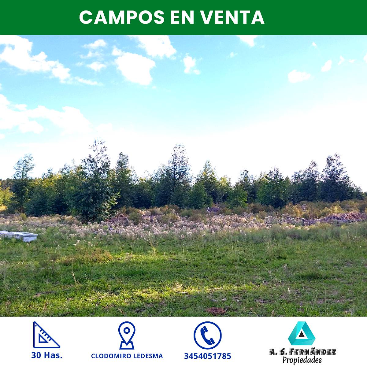 Campo Apto Forestación con Rebrotes