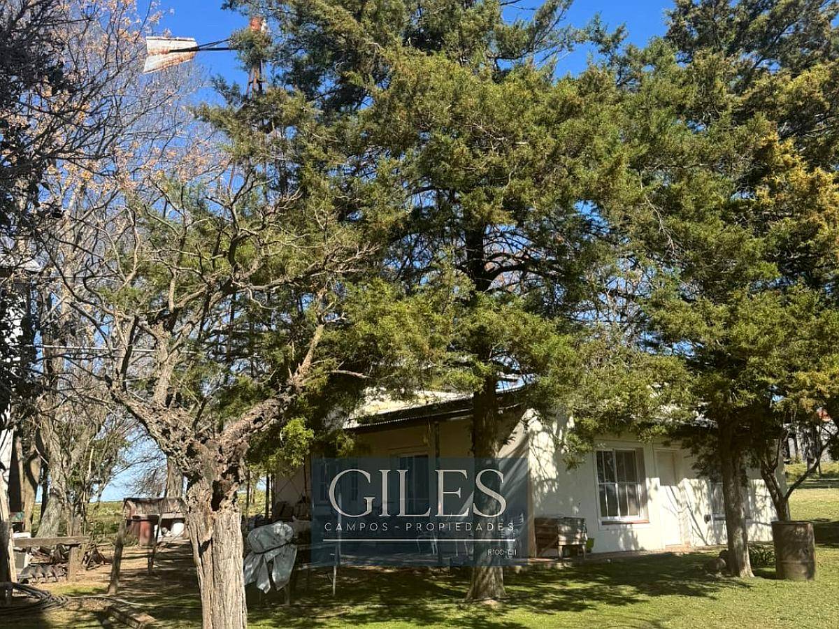 Campo Mixto 80 Hectáreas C/mejoras