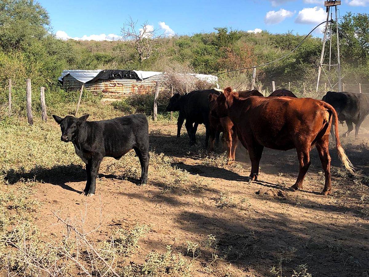 Alquiler Campo Mixto de 417 Ha a 70 km de Merlo.
