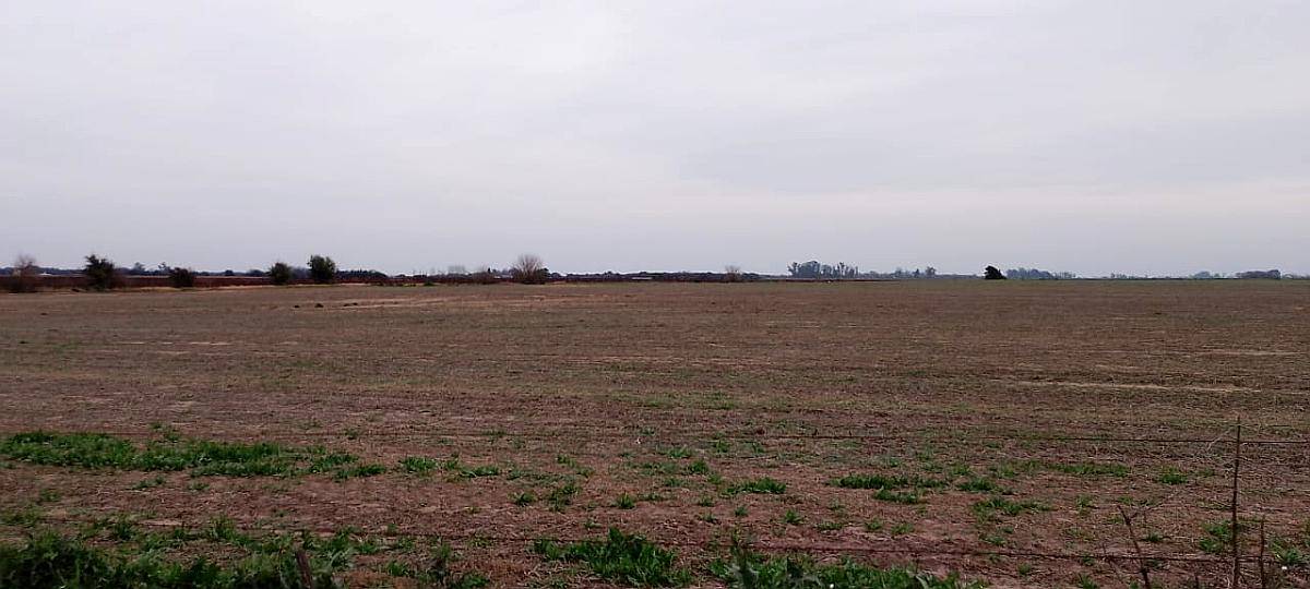 190 Campo Agricola Entre Pampayasta , TIO Pujio, James Craik