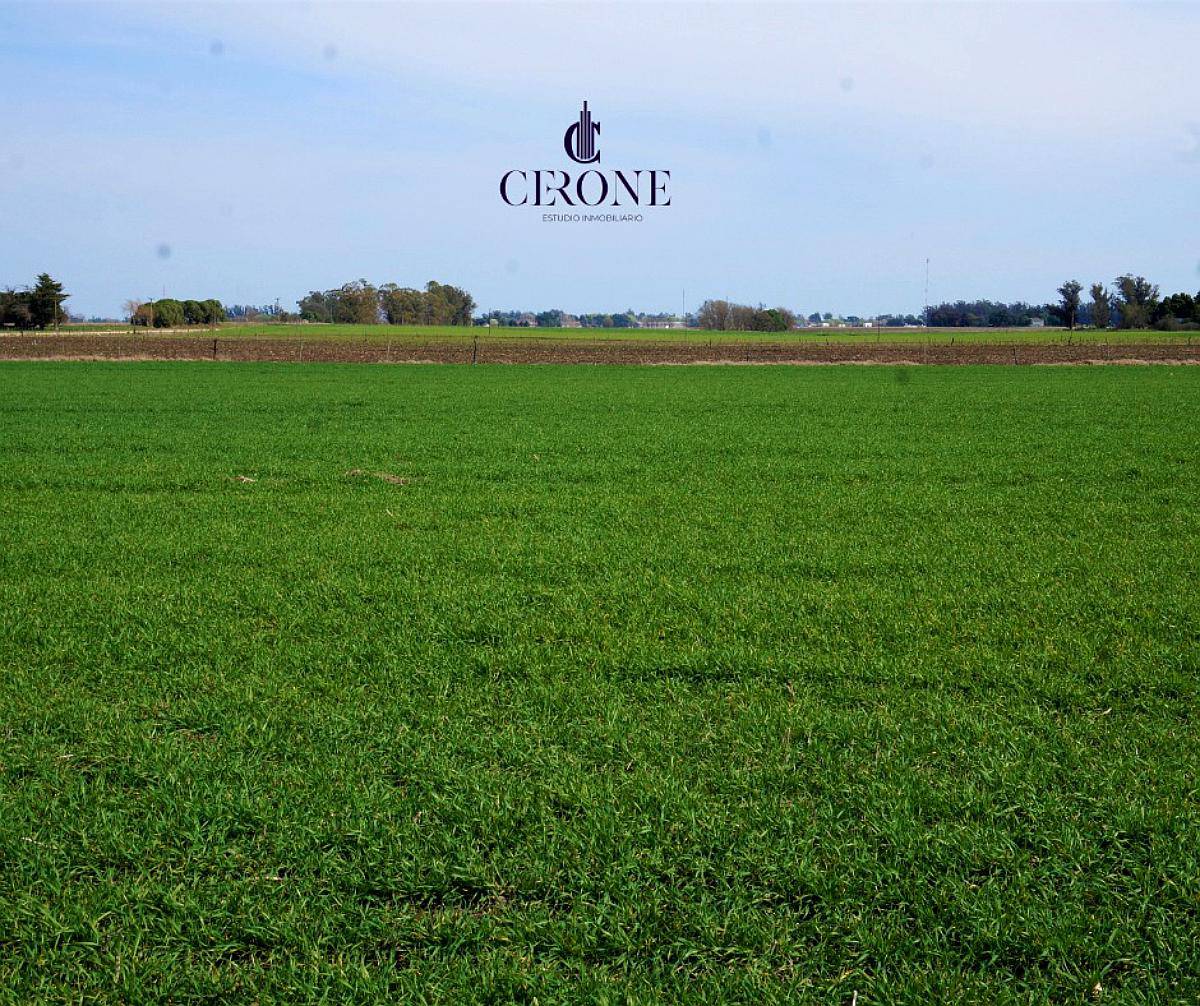 Venta - Campo - 12 Hectareas - Mechongue