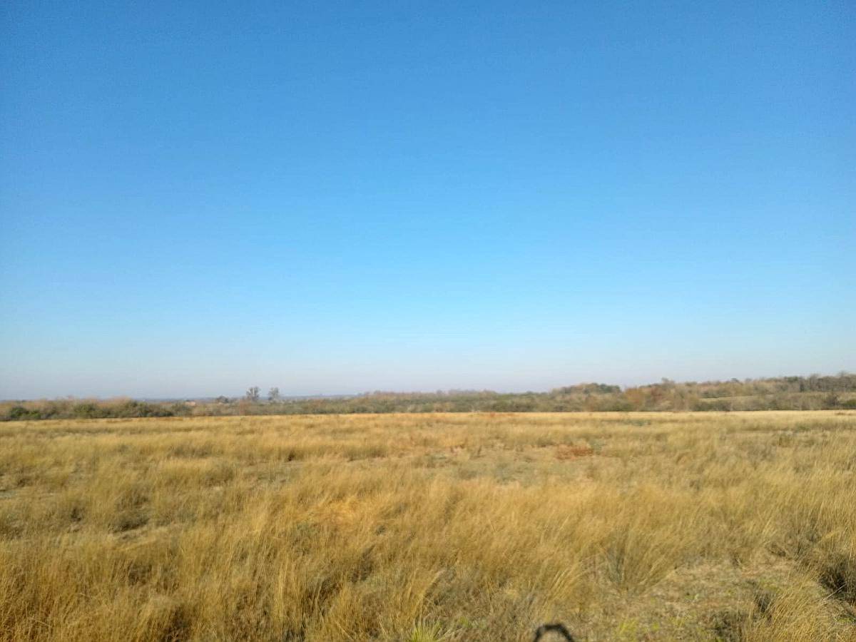 220 Ha Mixtas. Mayormente Agrícola. Lucas Gonzalez