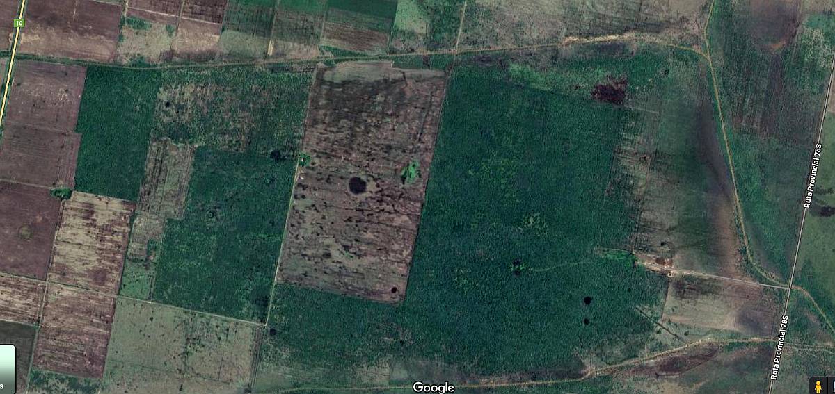 Campo Mixto Santa Clara de Buena Vista, Santa FE