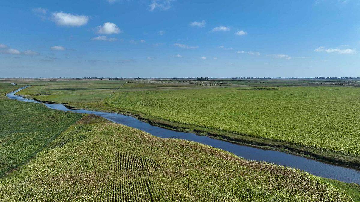 Pcia. de Buenos Aires - Roque Perez 243 Ha