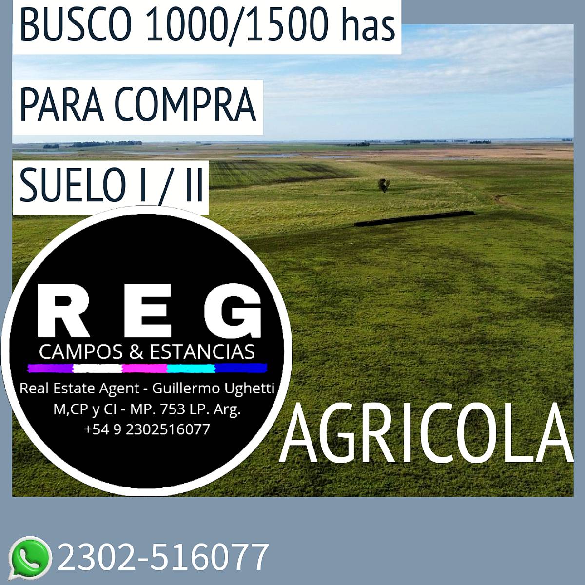 Busco para Compra 1500 Has