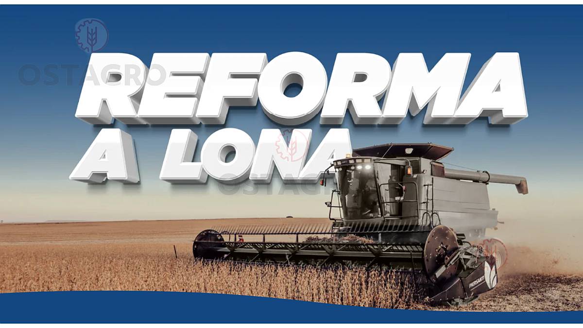 Reforma a Lona - Todas las Plataformas