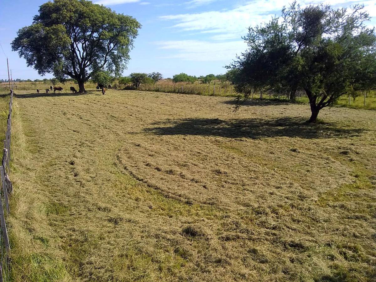 Vendo Lote de 25 X 25 Mts. en Mercedes - Corrientes