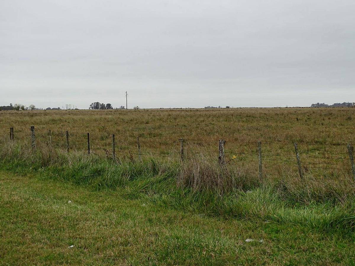 Ba3300 Campo en Venta 85 Has. Chascomus