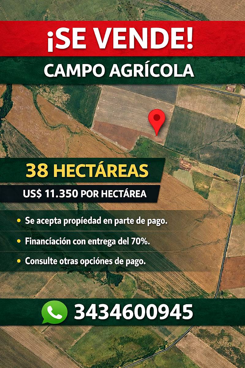 Se Vende en Sauce Pinto Entre Rios.